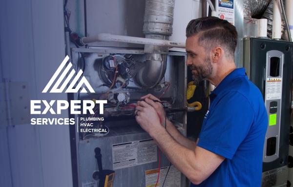 Expert Services