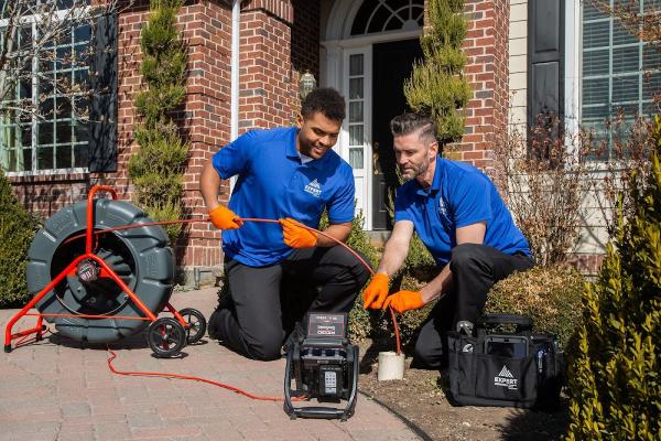 Expert Services