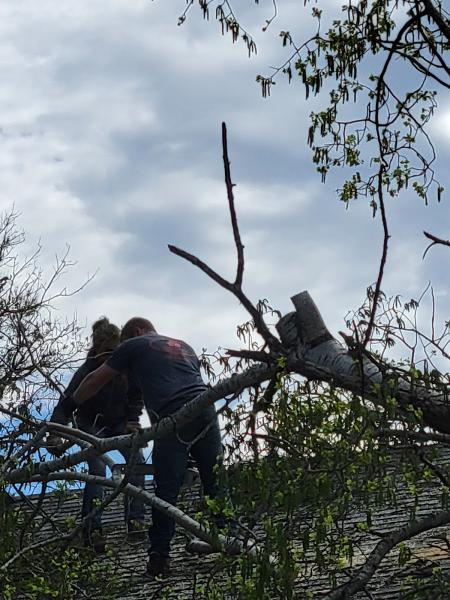 Weaver's Tree Service LLC