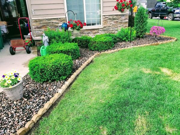 Weaver's Tree Service LLC