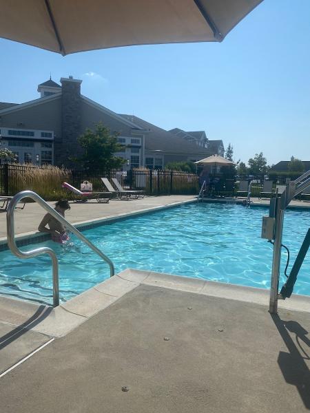 Dream Pool Services