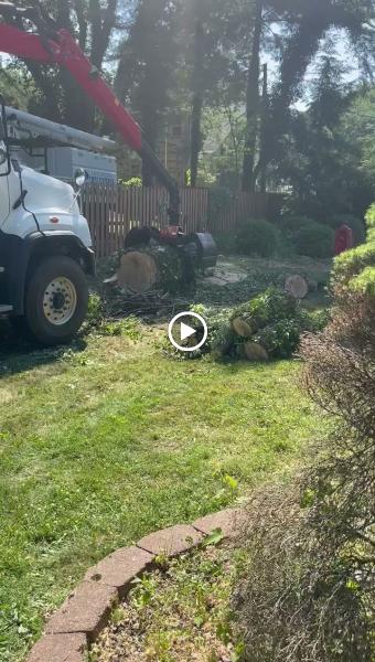 J.R. Ellington Tree Experts
