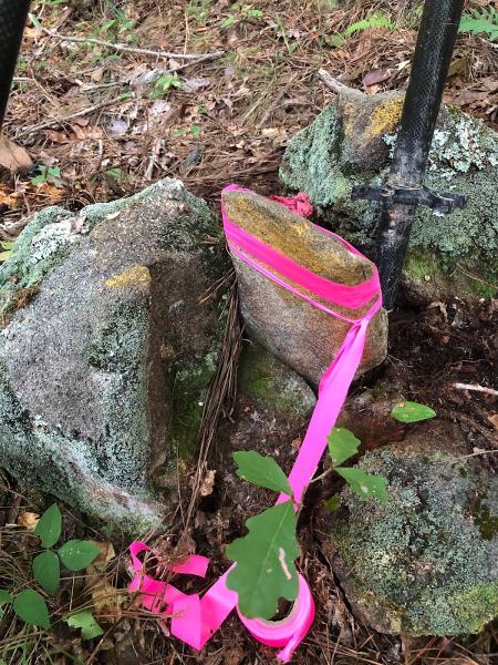 Michael J. Williford Land Surveying