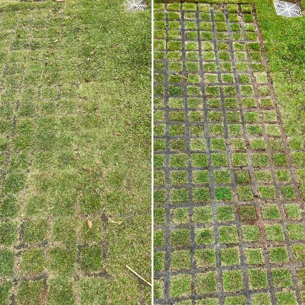 Higa Lawn Care