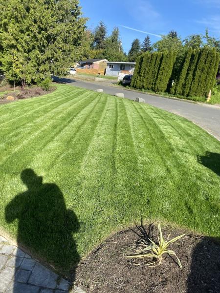 Trustworthy Landscape LLC
