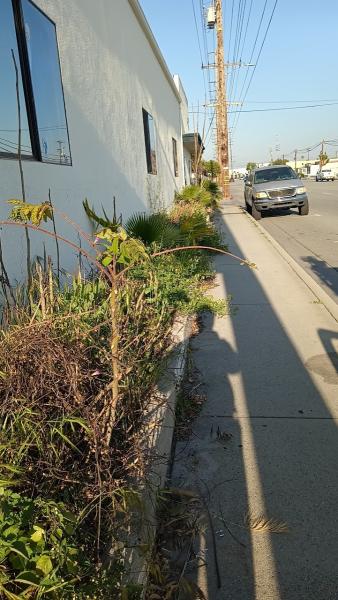 Everardo's Lawncare Service LLC