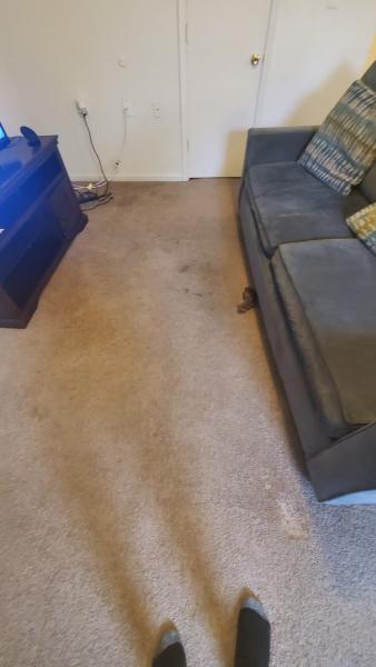 J & D Carpet Services