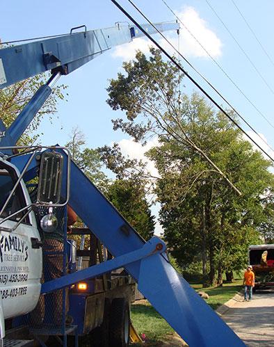 Family's Tree Service Inc.