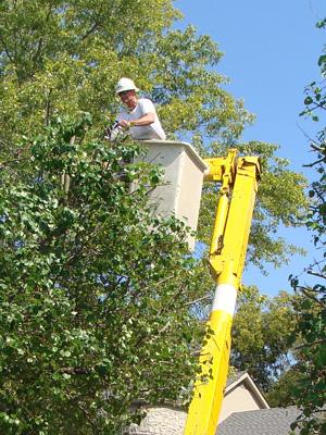 Family's Tree Service Inc.