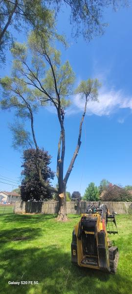 A1 Tree Service Michiana
