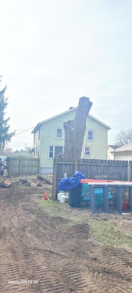 A1 Tree Service Michiana
