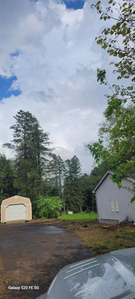 A1 Tree Service Michiana