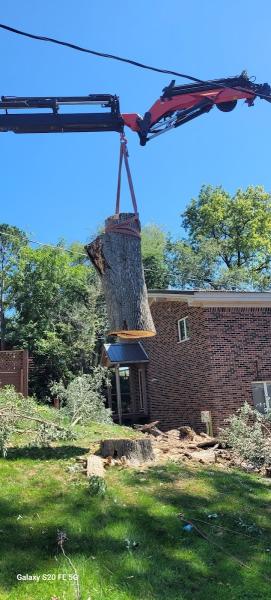 A1 Tree Service Michiana