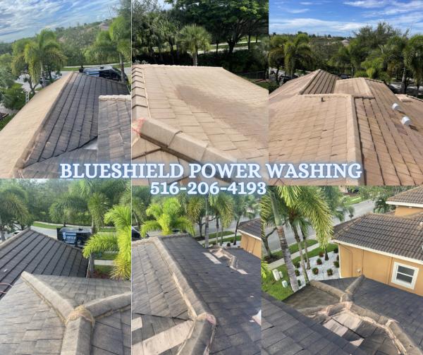 Blue Shield Power Washing