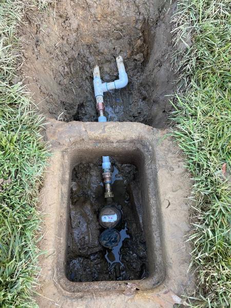 Poston Irrigation
