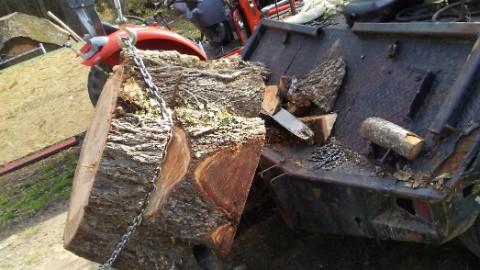 Bull City Tree Service