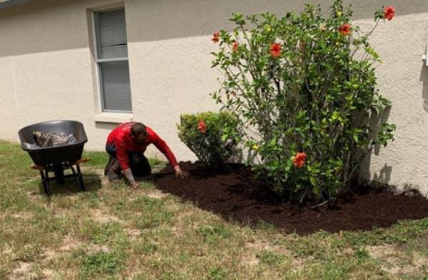 A All Quality Lawn Care