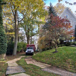 James Rogan Tree Service