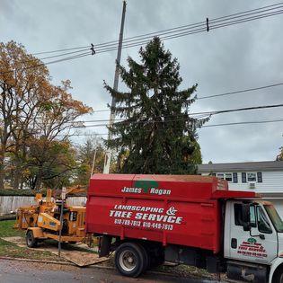 James Rogan Tree Service