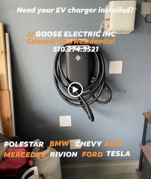 Goose Electric