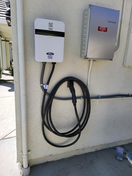 Goose Electric