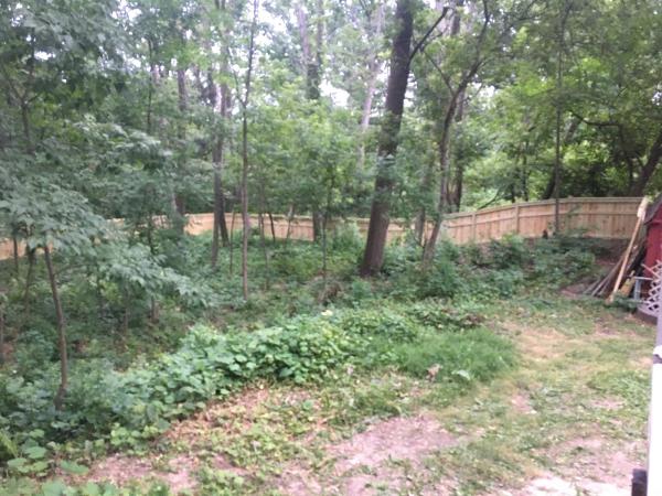 C&M Fencing