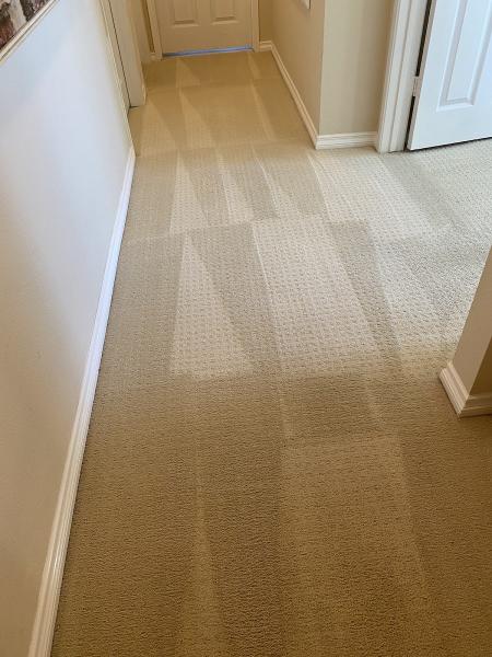 Meier's Carpet & Upholstery Cleaning