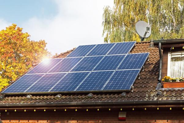 Renewable Energy Movement