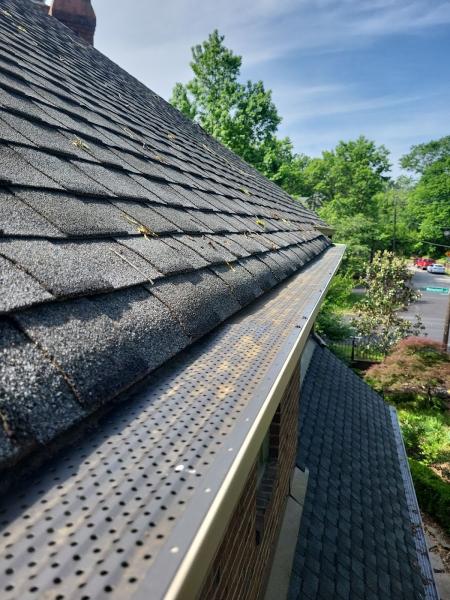 Evergreen Gutters