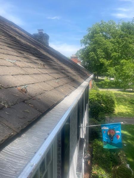 Evergreen Gutters