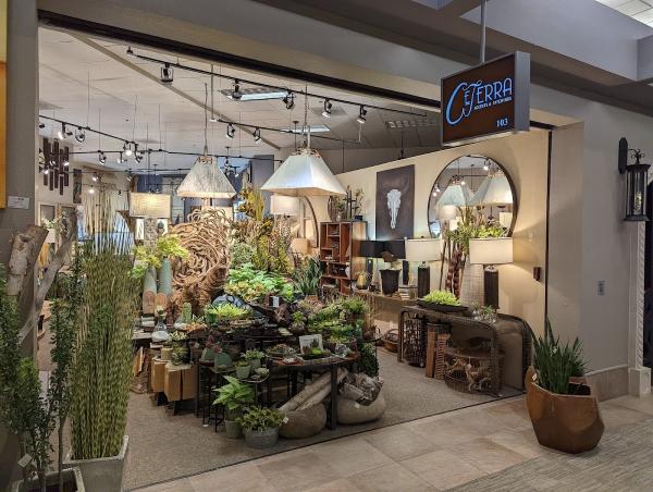 Ceterra Accents & Interiors