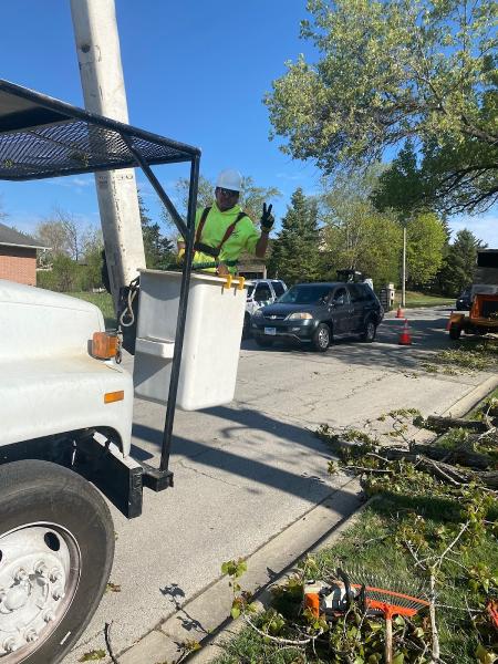 Buddy's Tree Service