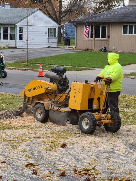Buddy's Tree Service