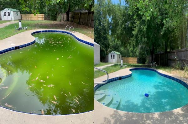 Eternal Blue Pool Service Casselberry