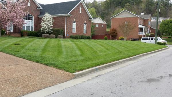 King's Lawn Care