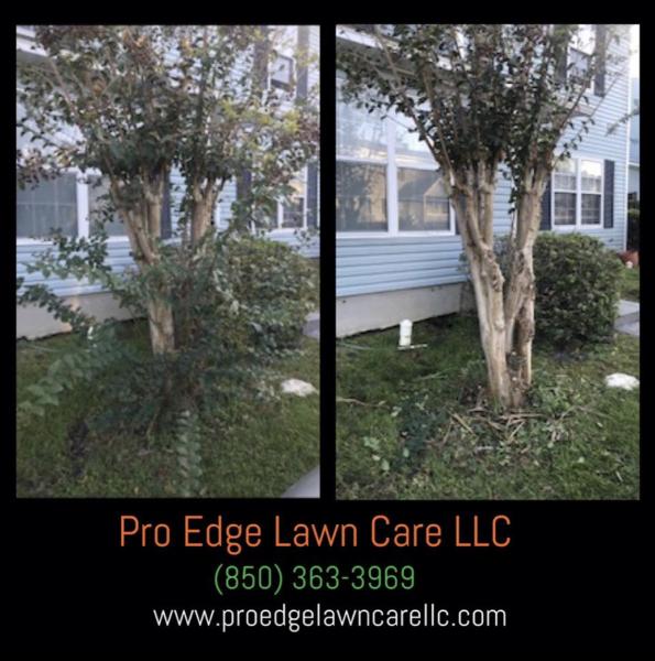 Pro Edge Lawn Care LLC