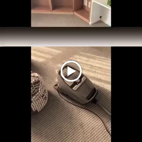 Sunlight Cleaning