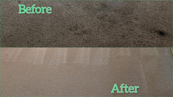 Qwik-Dry Carpet Cleaning
