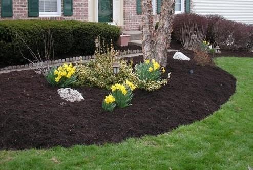Foley's Lawn Care