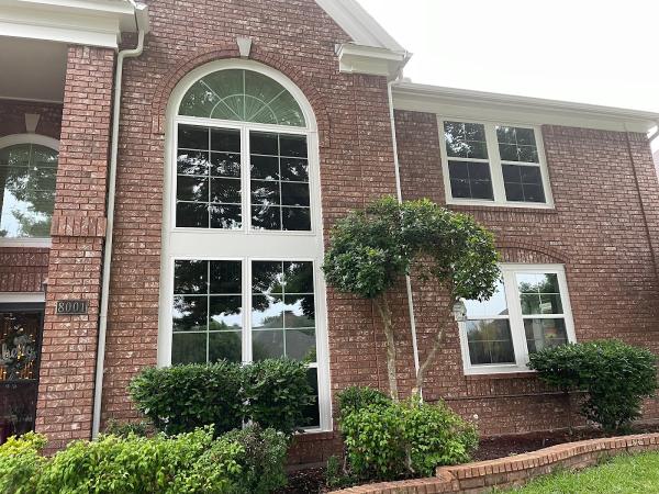 The Window Authority