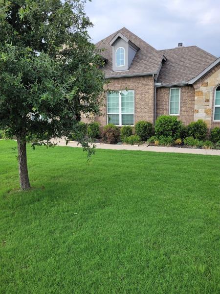 Kelly Green Lawncare