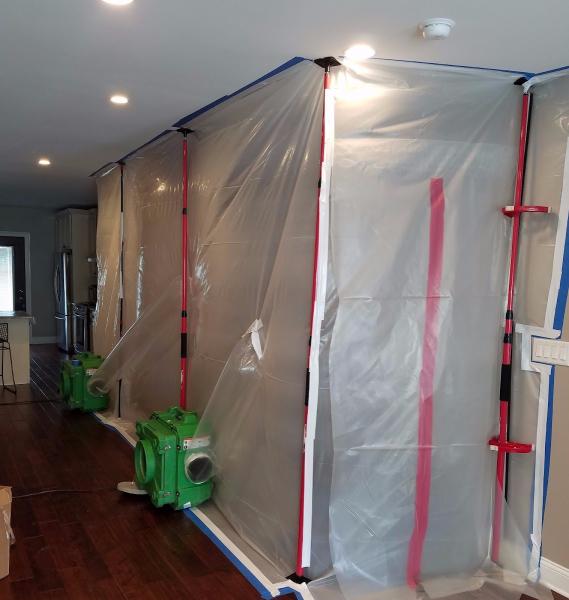 Asbestos Mold Specialists
