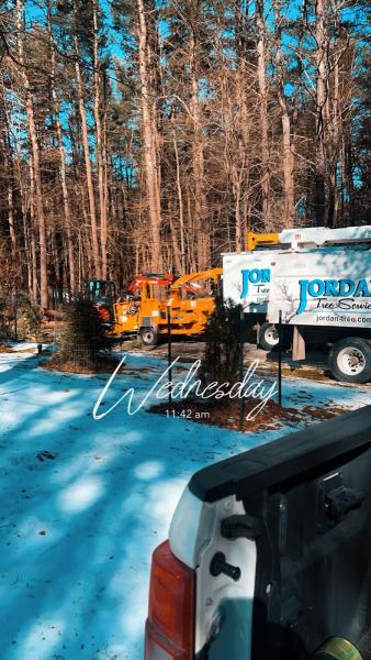 Jordan Tree Service