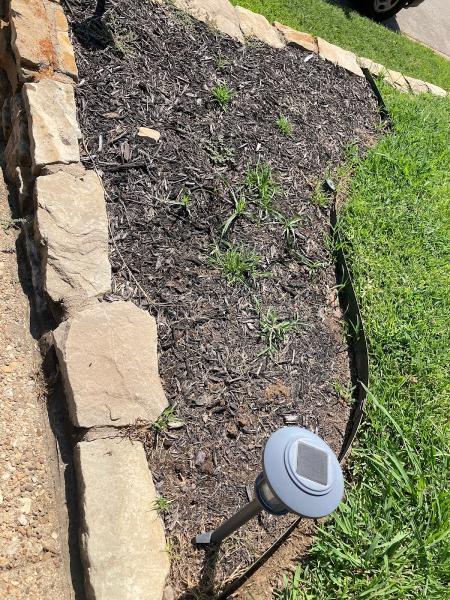 Truevision Lawn & Landscapes