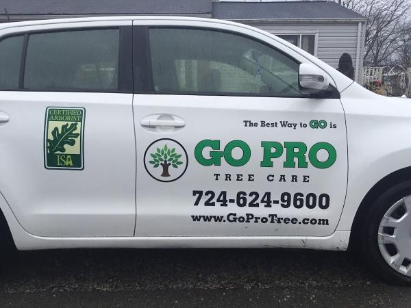 Go Pro Tree Care