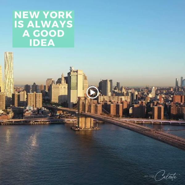 The Celeste Pandhi Team at Sotheby's International Realty