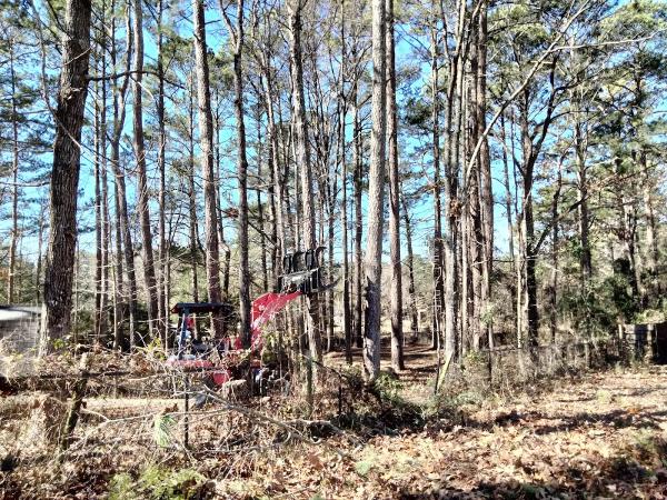 Big Red Tree Service