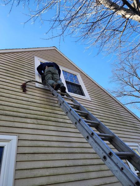 Bonded Windows