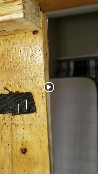 Just Bedbugs Pest Control Inc.