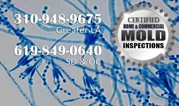 Staci's Home Inspections